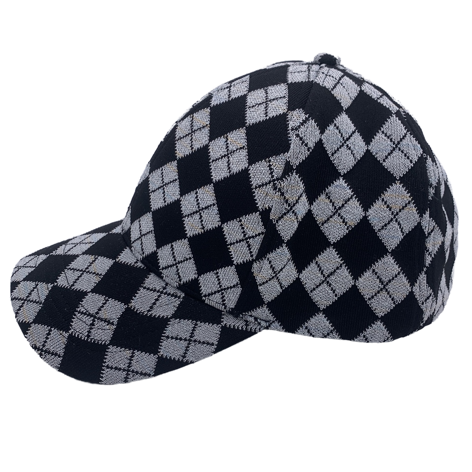 photochromic baseball cap